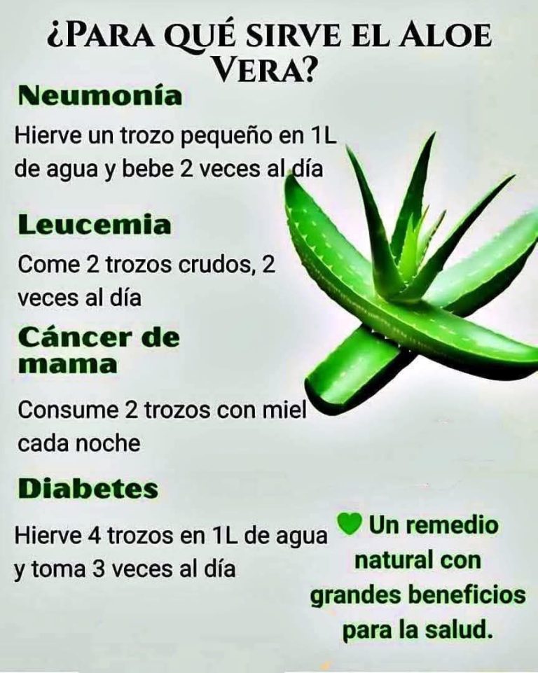 646872930 1474927564428251 2733722365044491269 n 768x961