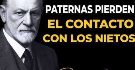 647193216 122112199935226184 1766558601833630440 n