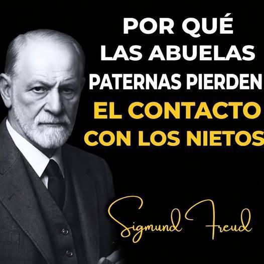 647193216 122112199935226184 1766558601833630440 n