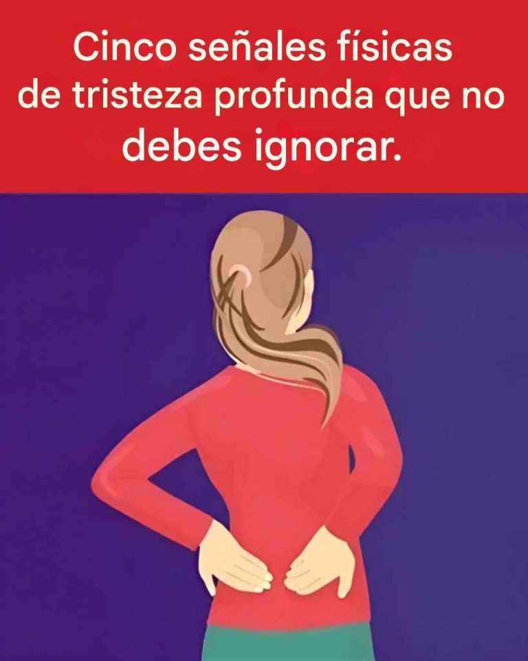 648094782 893118070269223 572568365861358744 n 768x960