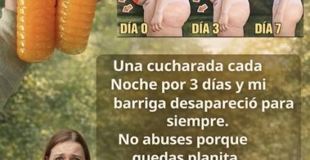 648219838 951373267571269 1415077247113808019 n