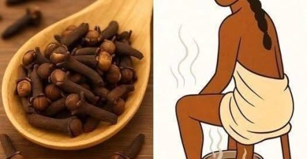 648321087 931219416067587 5236913776570888153 n