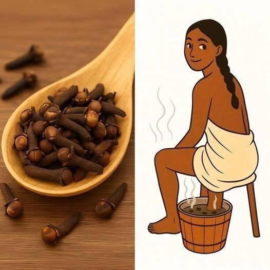 648321087 931219416067587 5236913776570888153 n