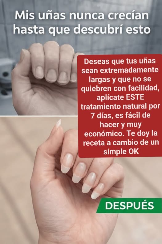 648433254 2113036979520892 7067191500427104256 n