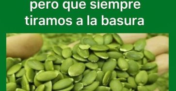 648462065 1239707245017723 265388821848497252 n 768x768