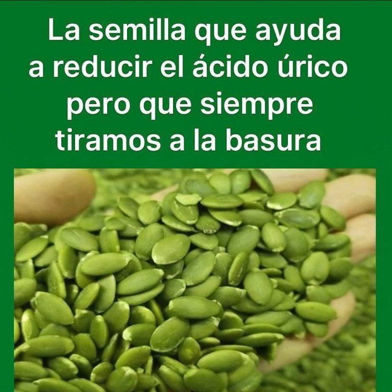 648462065 1239707245017723 265388821848497252 n 768x768