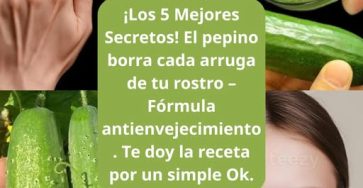 653963605 1569346794720600 8393438189791276612 n