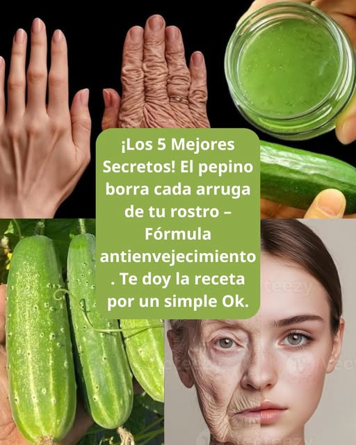 653963605 1569346794720600 8393438189791276612 n