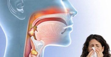 68356cd8 7e73 46e3 865f fc4498979149 768x1152