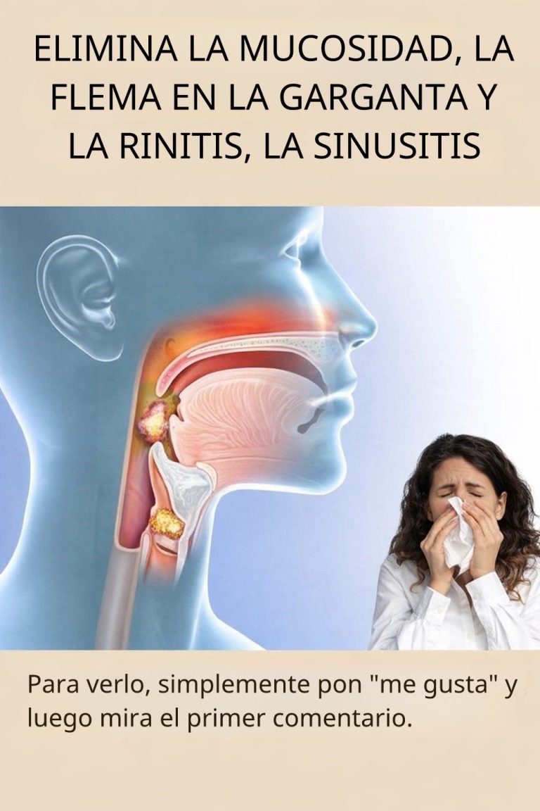 68356cd8 7e73 46e3 865f fc4498979149 768x1152