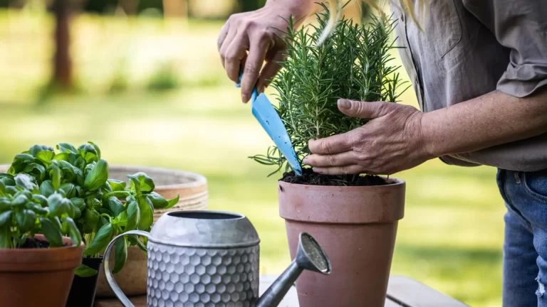 AdobeStock 478776850 1 scaled 1 768x432