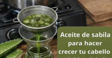 Capture decran 2026 03 10 073703 768x979