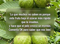 Chưa có tên (Bài đăng Instagram (45)) (22)