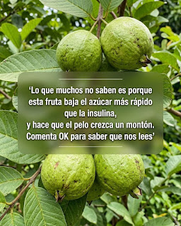 Chưa có tên (Bài đăng Instagram (45)) (22)