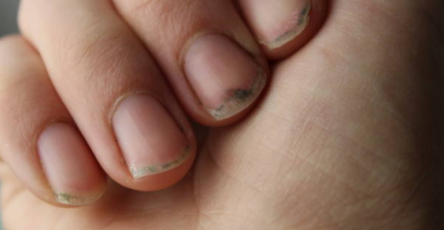 Screenshot 2026 02 27 210150 768x505