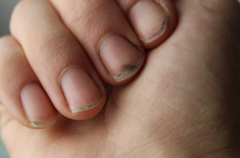 Screenshot 2026 02 27 210150 768x505