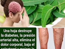 Screenshot 2026 03 18