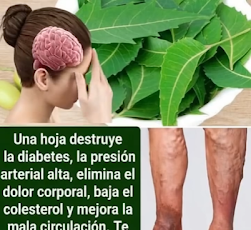 Screenshot 2026 03 18