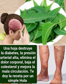 Screenshot 2026 03 18