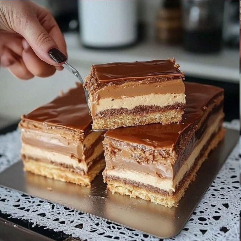 WhatsApp Image 2026 02 14 at 02.49.31 768x768