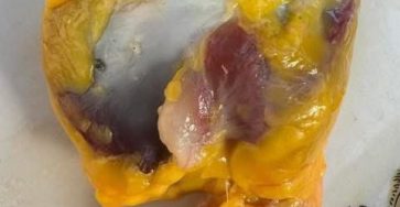 WhatsApp Image 2026 02 20 at 00.48.06