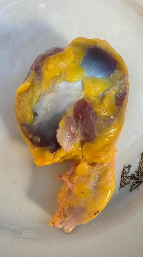 WhatsApp Image 2026 02 20 at 00.48.06