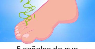 WhatsApp Image 2026 03 08 at 16.00.36