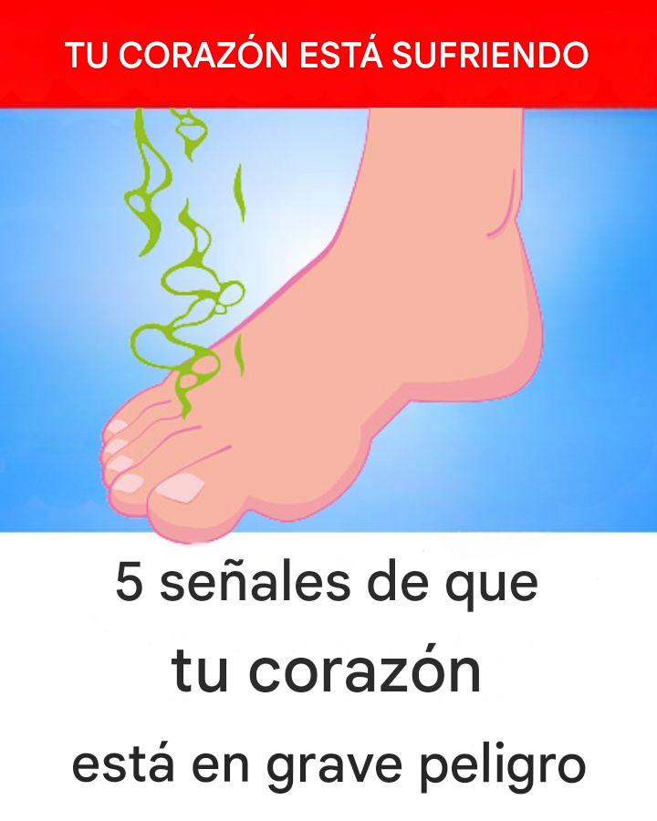 WhatsApp Image 2026 03 08 at 16.00.36