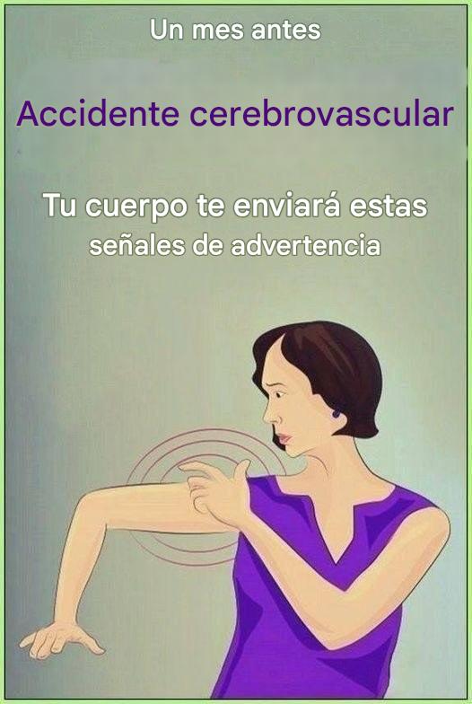 WhatsApp Image 2026 03 08 at 16.00.36