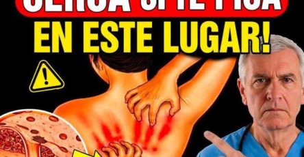 WhatsApp Image 2026 03 15 at 01.04.03 768x768