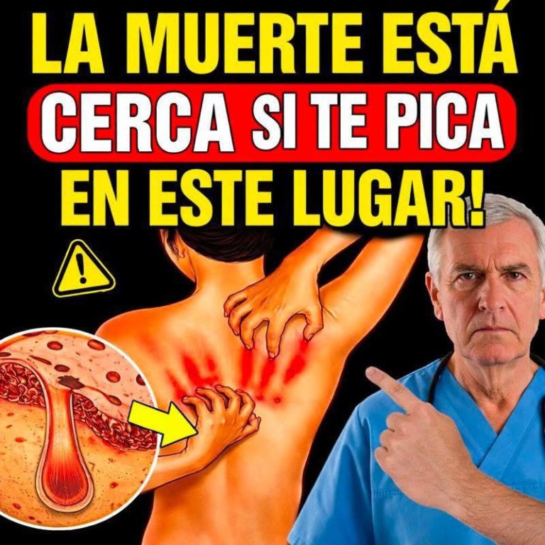 WhatsApp Image 2026 03 15 at 01.04.03 768x768