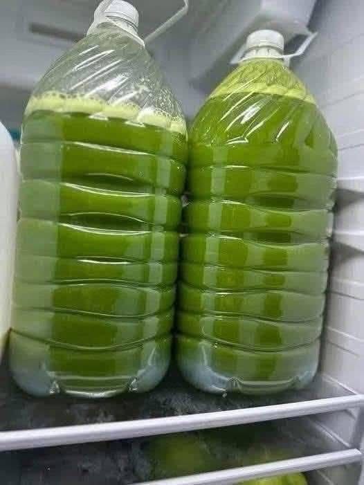 WhatsApp Image 2026 03 27 at 18.02.59