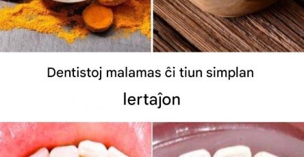 B6bdeb13 e193 4698 94ce 15485a5ac248