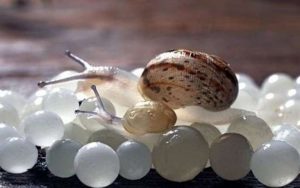 Bee43a9040f0c59eeab66caf43990b13