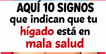 C6e90096 2761 4a7c 99a8 f4b9c94c7eab 768x1152