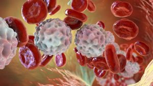 127554200 gettyimages