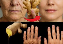 527302981 727777016709153 88258210164172846 n