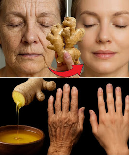 527302981 727777016709153 88258210164172846 n