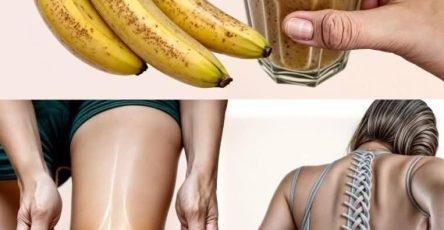 557012681 122152823558629176 631773493296627752 n