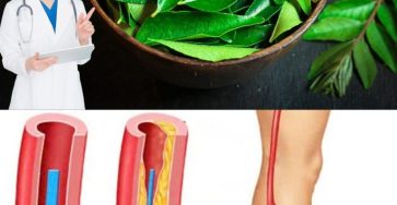 561761779 122133321602943773 8995015002685399836 n 768x960