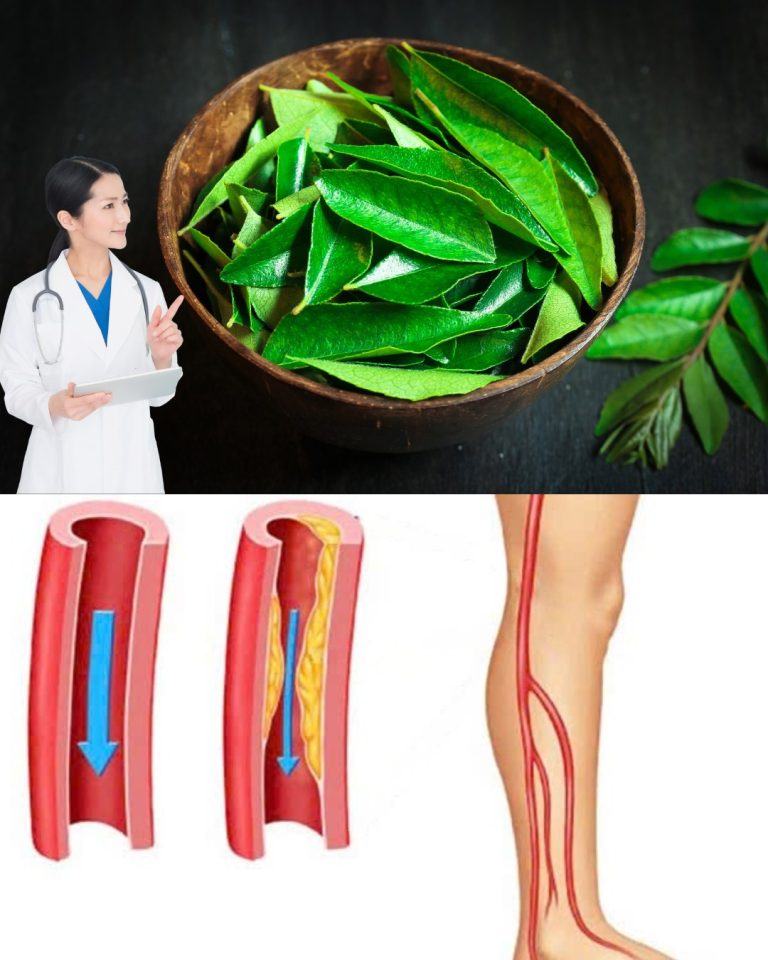 561761779 122133321602943773 8995015002685399836 n 768x960