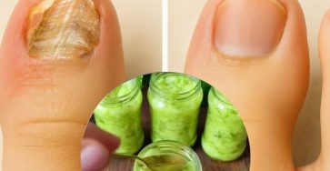 571009196 122134691864943773 7632799329672953746 n 768x960