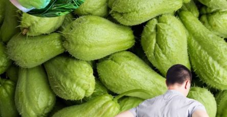 571151347 122134203212943773 8983580386759567204 n 768x960