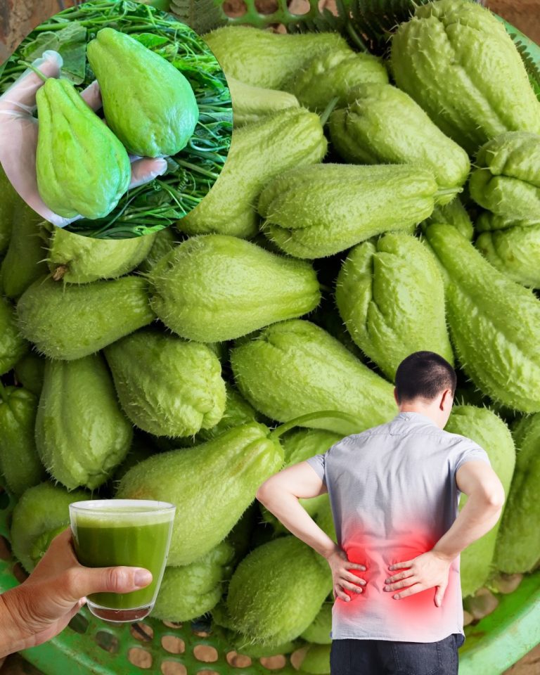 571151347 122134203212943773 8983580386759567204 n 768x960