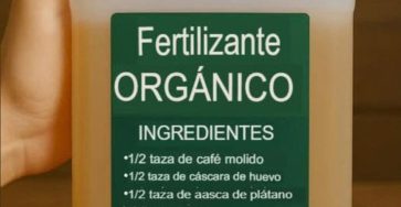 574053565 122148353084714507 6134632648433714003 n 1 1 736x1024