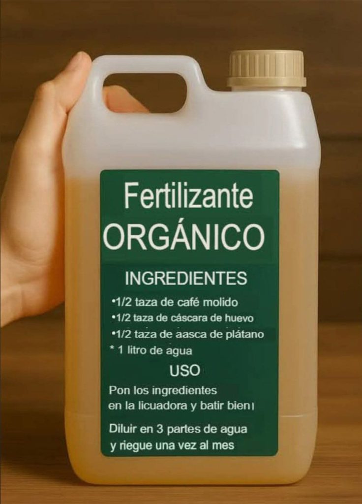 574053565 122148353084714507 6134632648433714003 n 1 1 736x1024