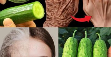 579664951 122137712042943773 1549195147757143907 n 768x960