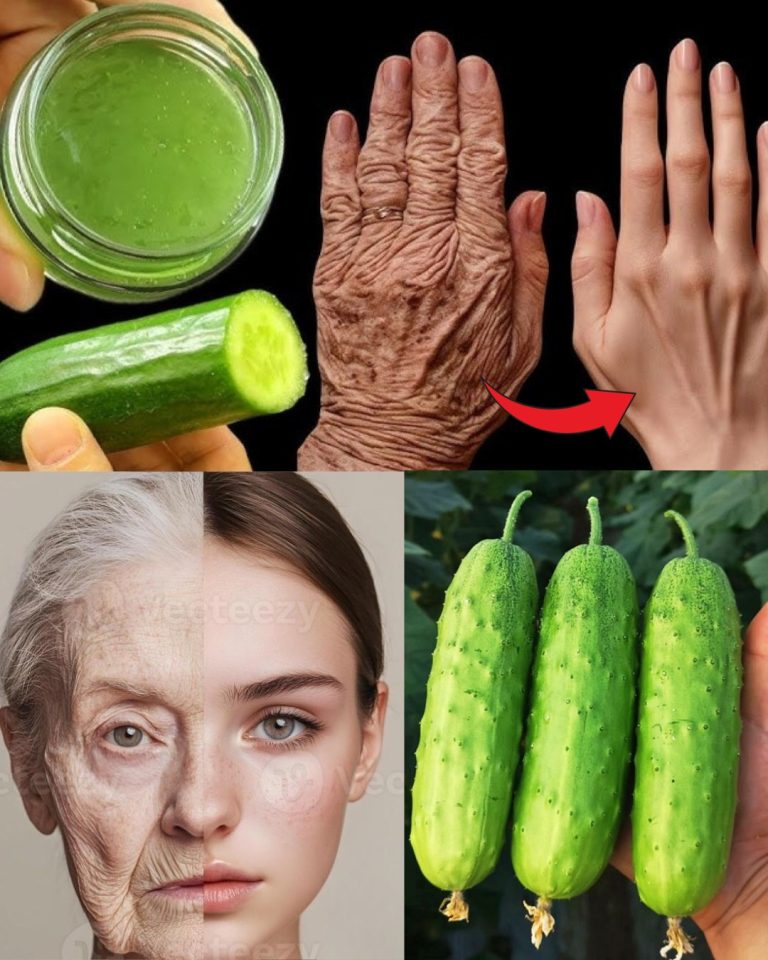 579664951 122137712042943773 1549195147757143907 n 768x960