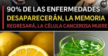 580436163 810808315259966 967330257207509813 n 768x960