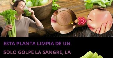 594494418 122142294338943773 9169285759832695590 n 768x960